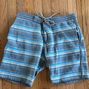 Men’s Vissla Striped Blue and Gray Shorts